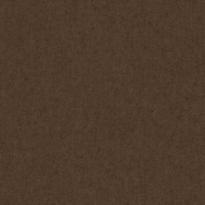 Thumbnail 19